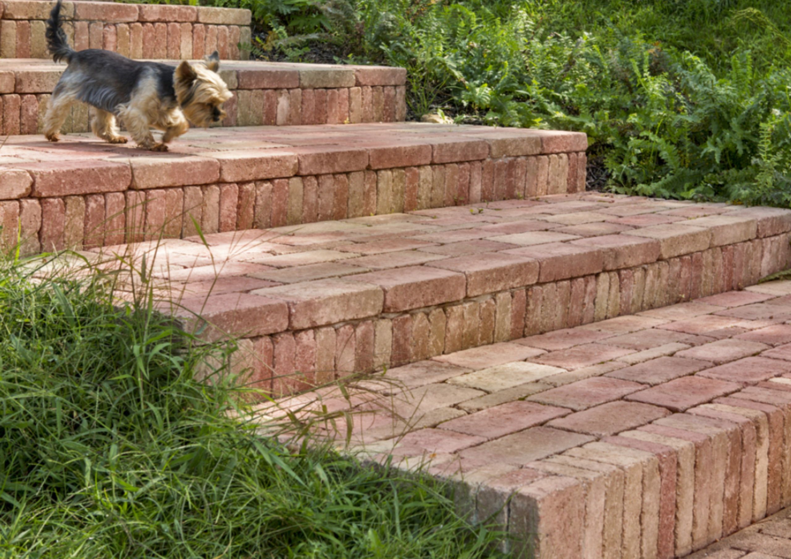 BTimageteglakosarga-piros5